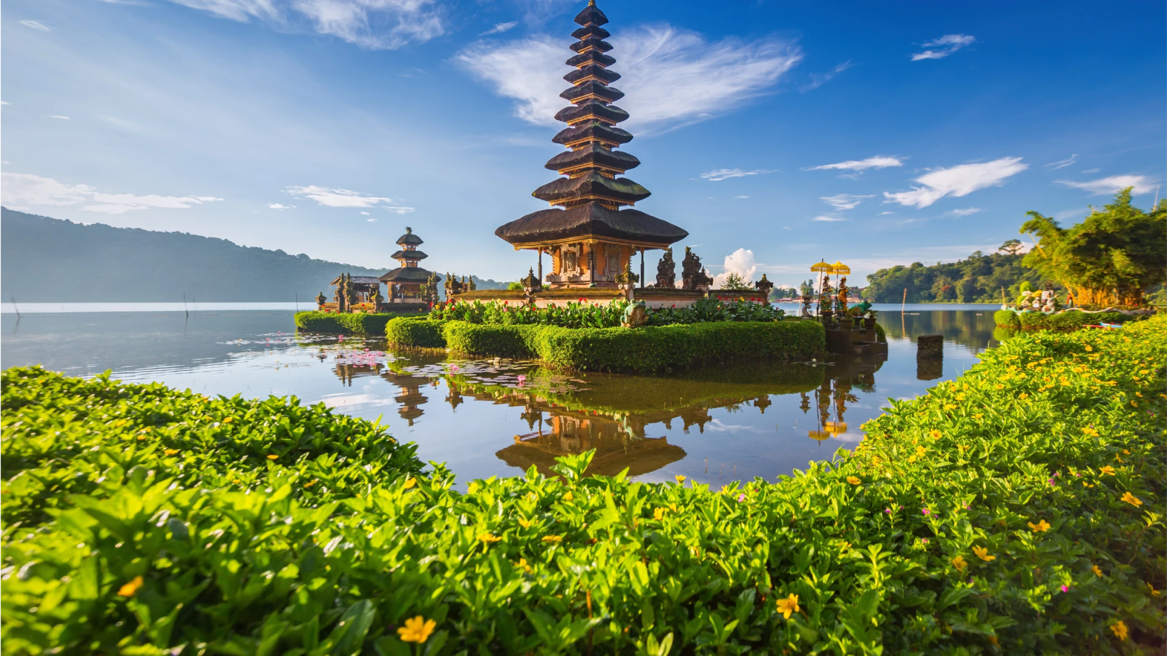 TopBali