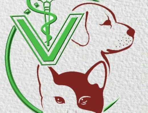Central Vet