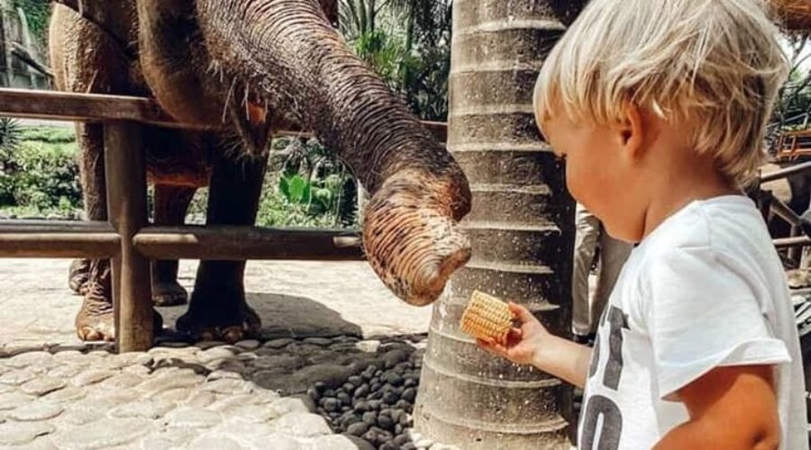 Ultimate Guide to Bali with Kids: Must-See Things to Do in Bali for an Epic 2024 Family Adventure