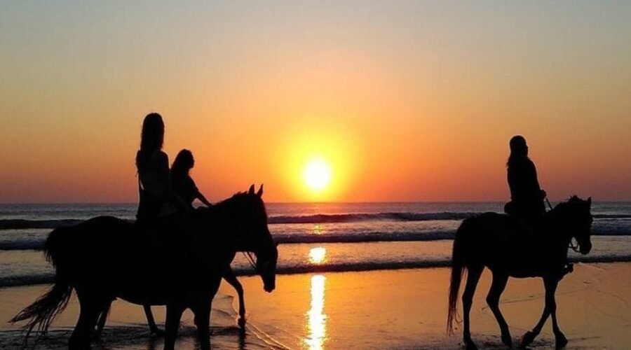Bali Horseback Riding: The Important Guide to Riding in Bali