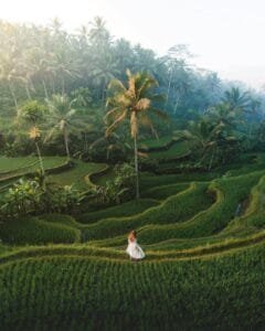 View of Tegalalang Rice Terrace in Ubud, Bali, featuring lush green rice paddies and a traveler in a white dress, perfect for a 3-Day Bali Itinerary.
